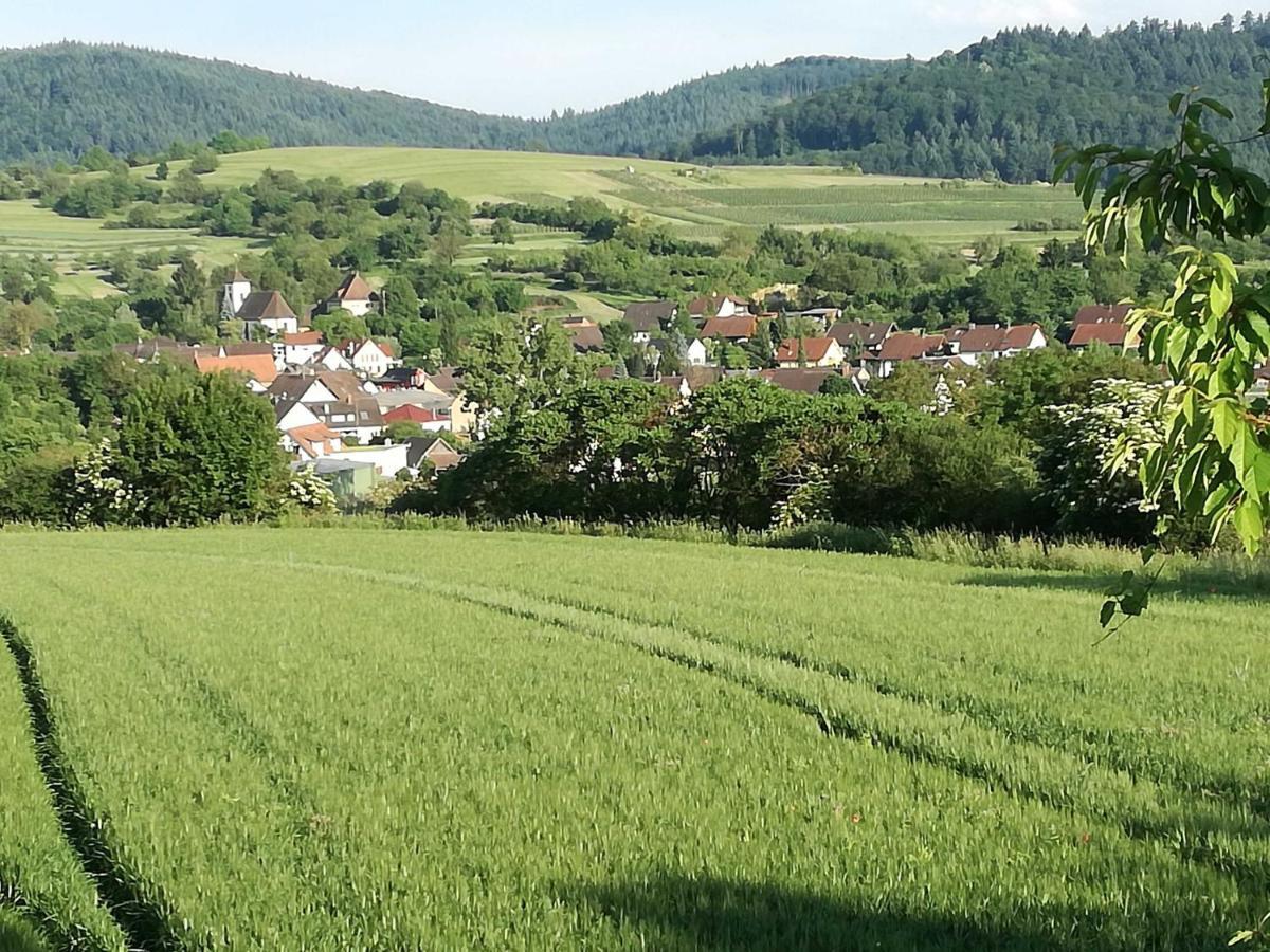 Galerie Ueber Den Gaerten Herbolzheim Eksteriør billede