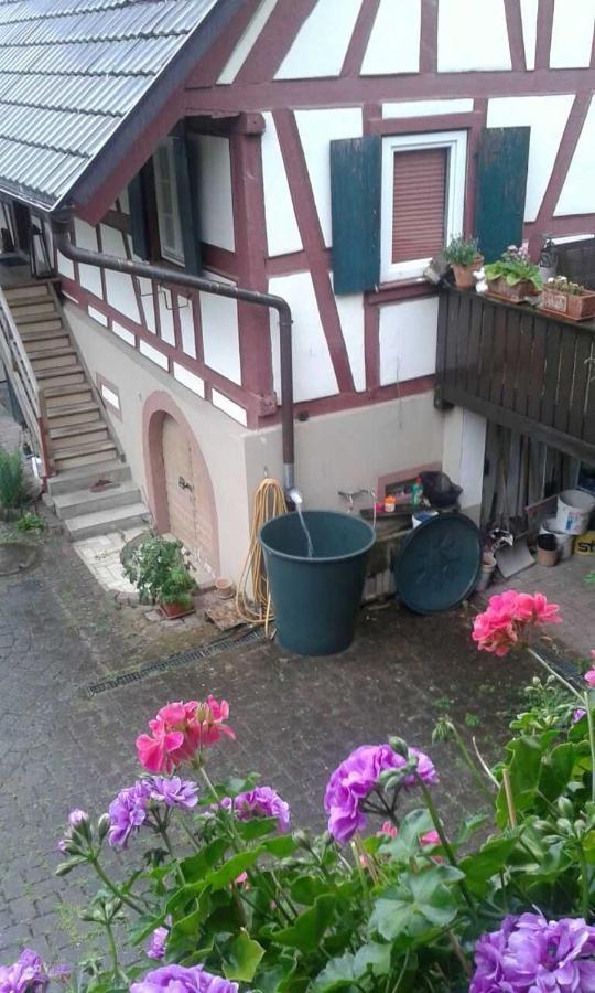 Galerie Ueber Den Gaerten Herbolzheim Eksteriør billede