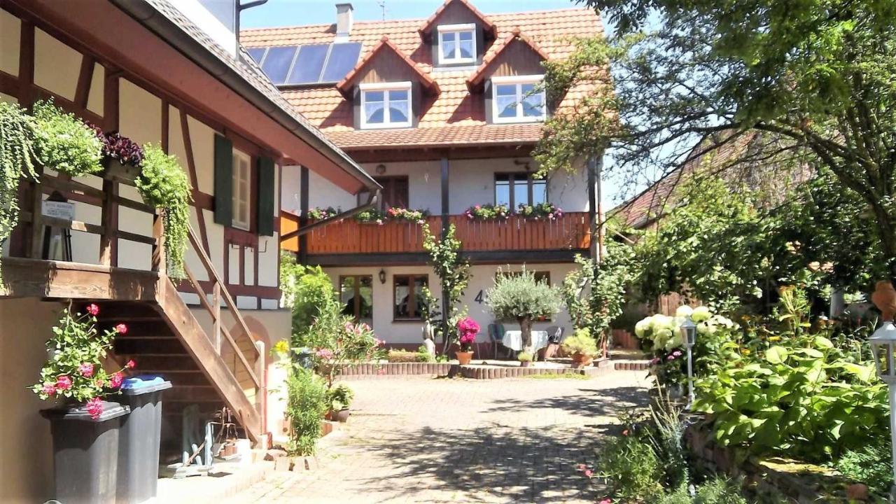 Galerie Ueber Den Gaerten Herbolzheim Eksteriør billede